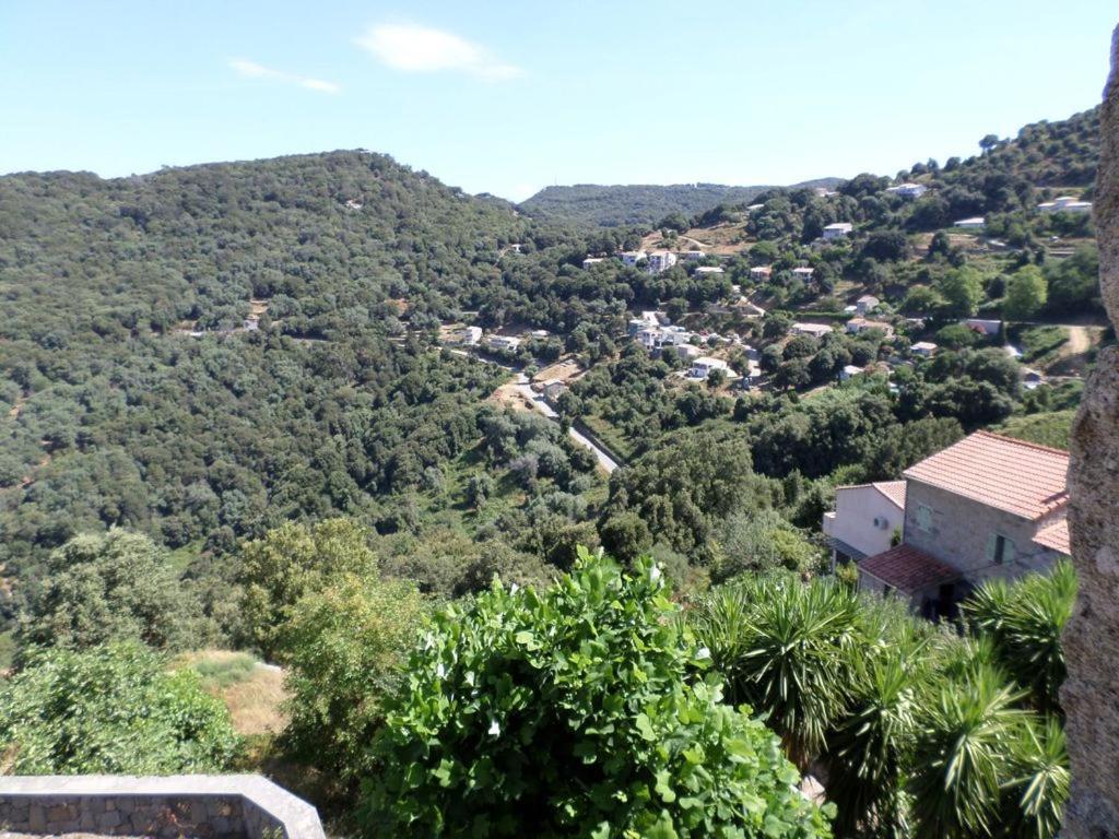 Appartement De Charme Entre Mer Et Montagne Sollacaro エクステリア 写真